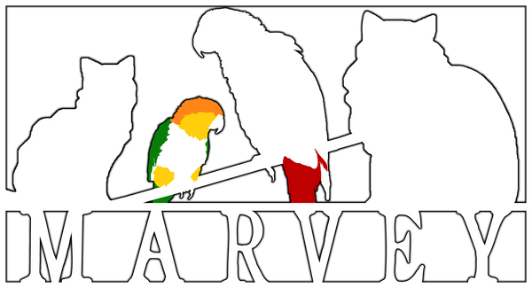 Marvey's Books